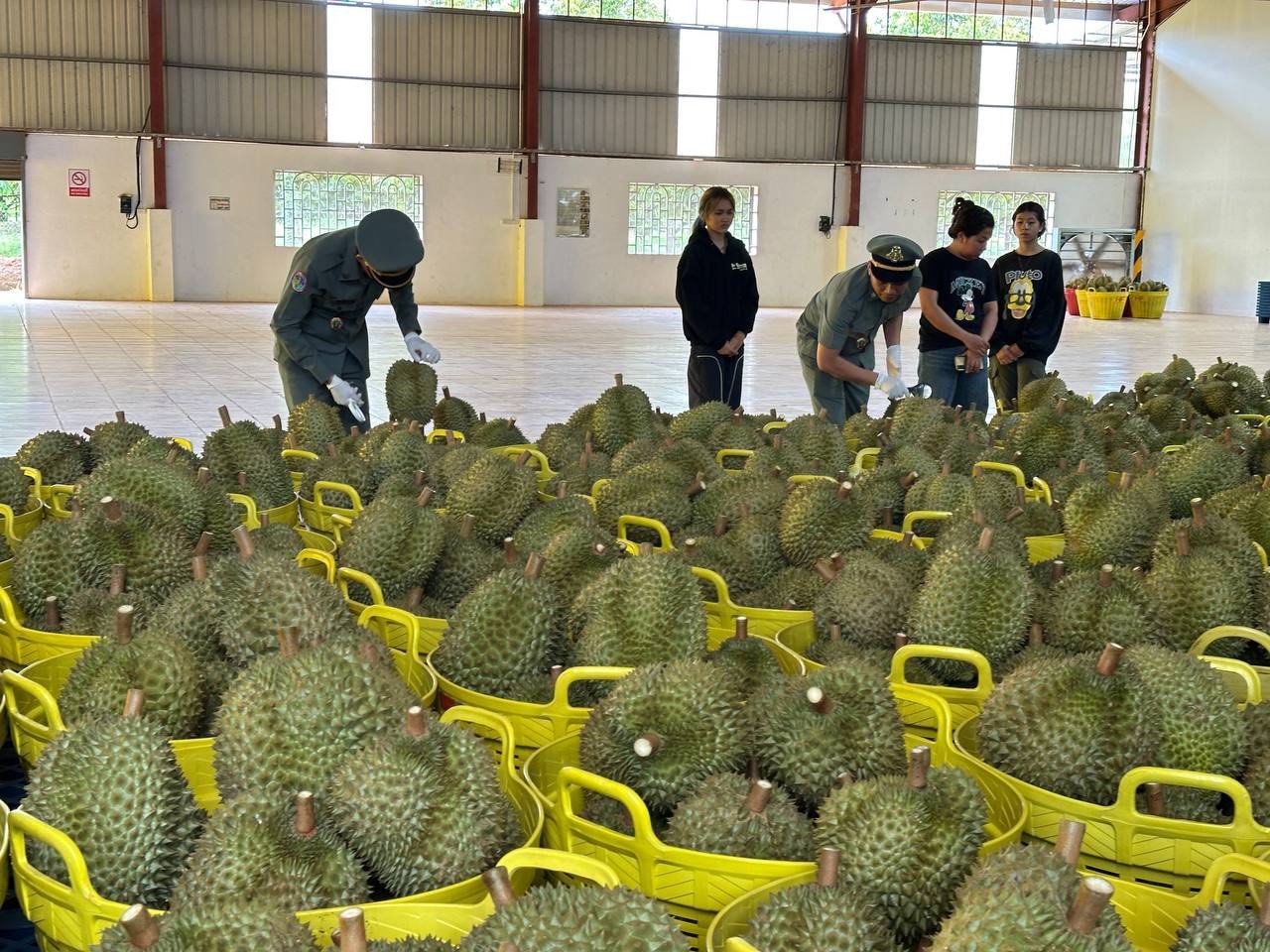 First Durian Shipment Departs for China First Durian Shipment Departs for China