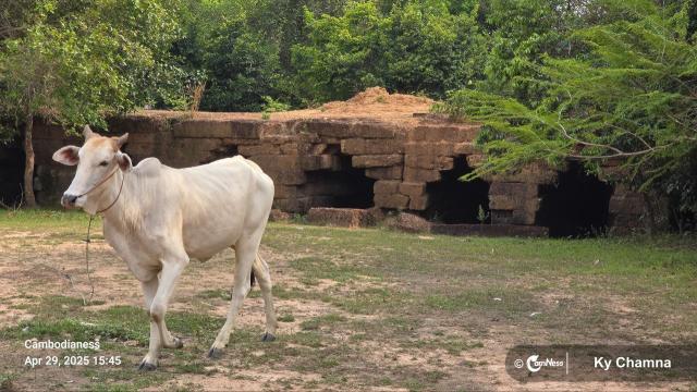 When a Village Trail Opens Up to an Ancient Bridge (Photo Story)