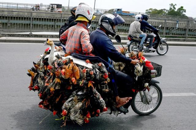 Takeo Girl Becomes 15th Bird Flu Case