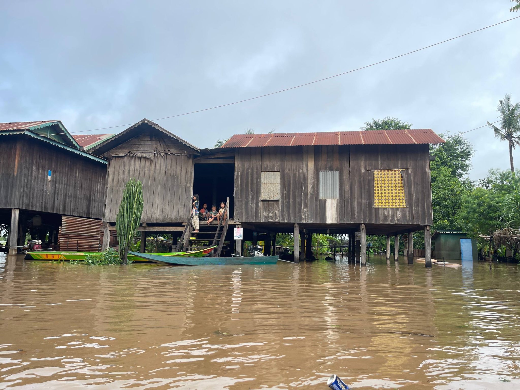 WHO Urges Action as Climate Crisis Becomes Health Emergency