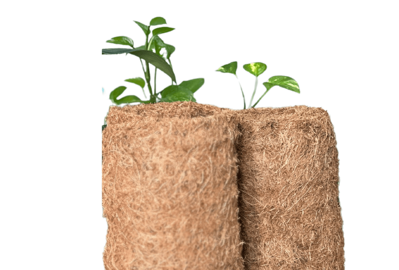 Turning Coconut Fibers into Filters: A Cambodian Solution for Cleaner Water