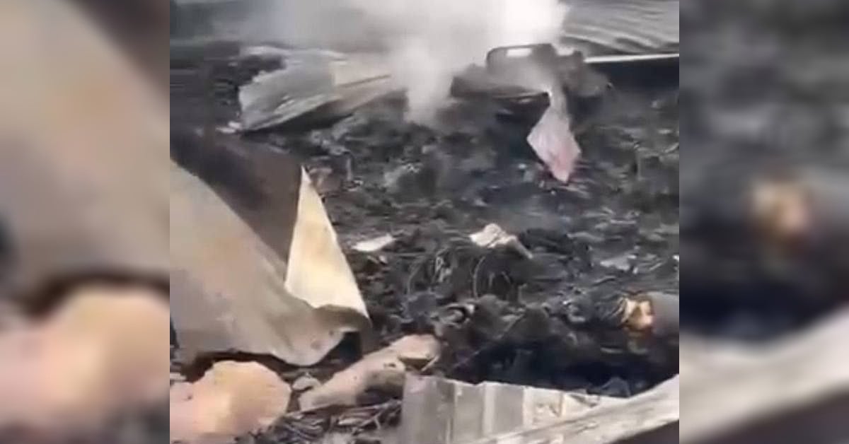 Violence Behind Closed Doors: Experts Warn of Rising Mental Health Strain After Twin Arson Cases