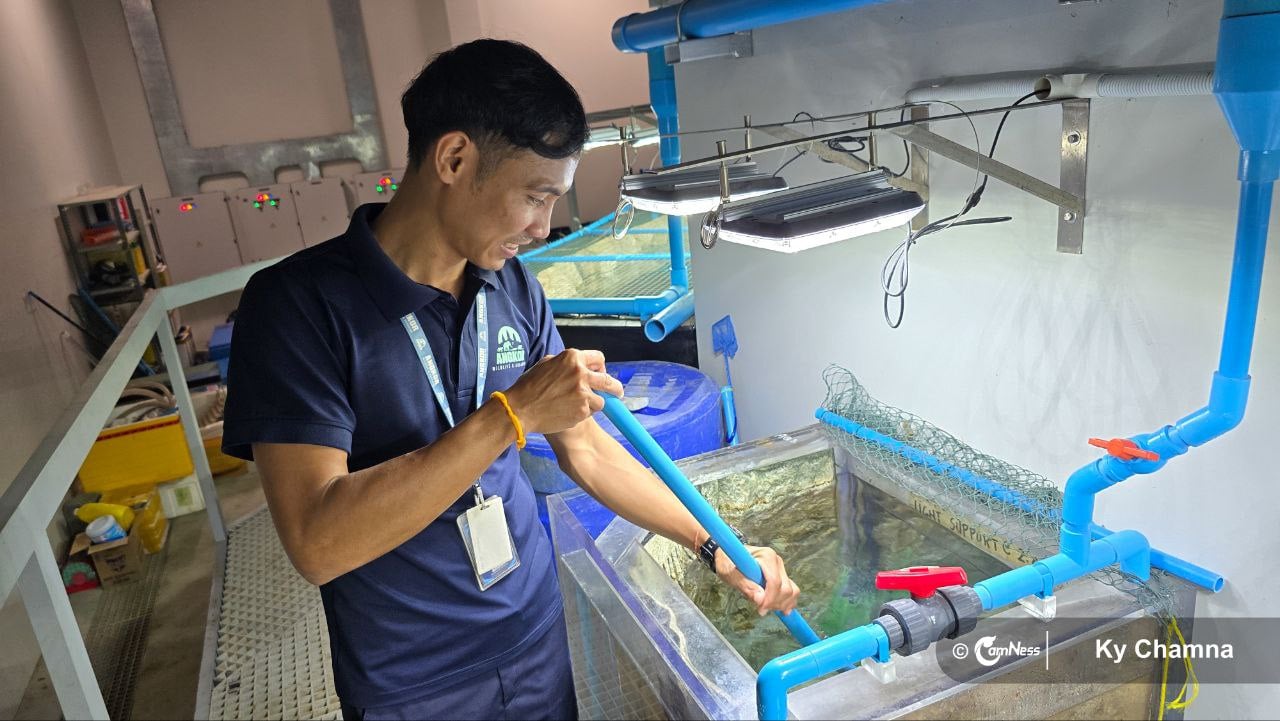 Being an Aquarist: Khan Ratt’s Love of Fish Conservation at Angkor
