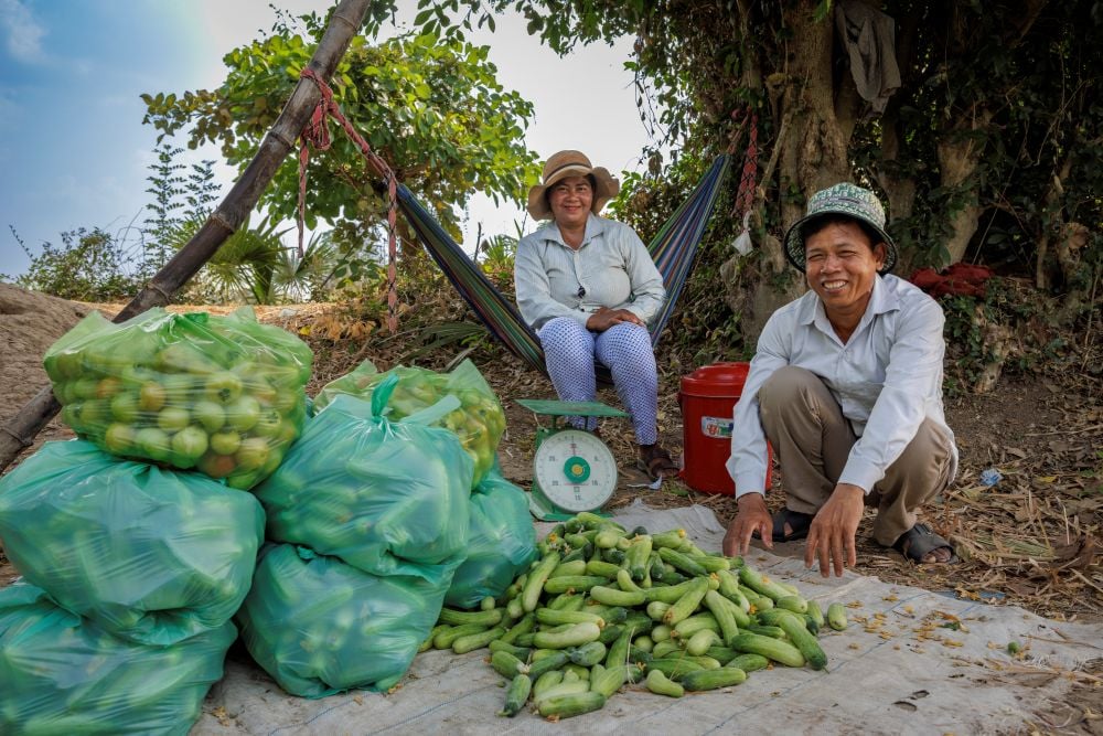 New Zealand Project to Support 8,000 Farming Families