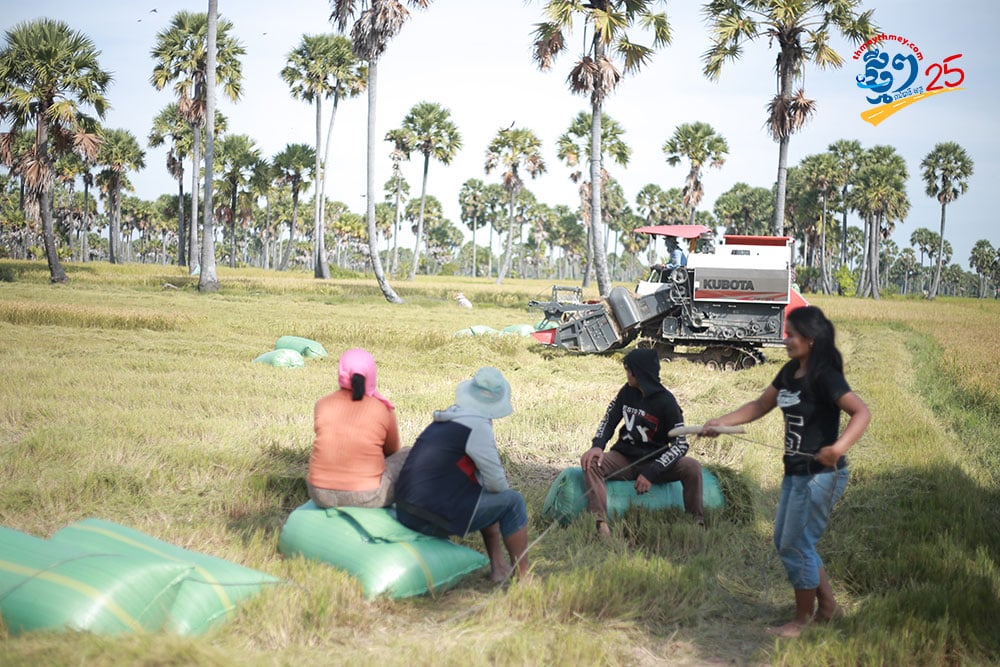 Cambodian Rice: The Heart and Soul of a Nation