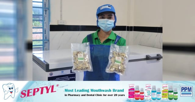 Koh Kong’s Green Mussel Business Thrives